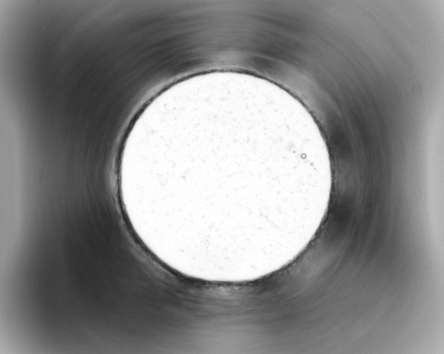 X0000096460950200802141529