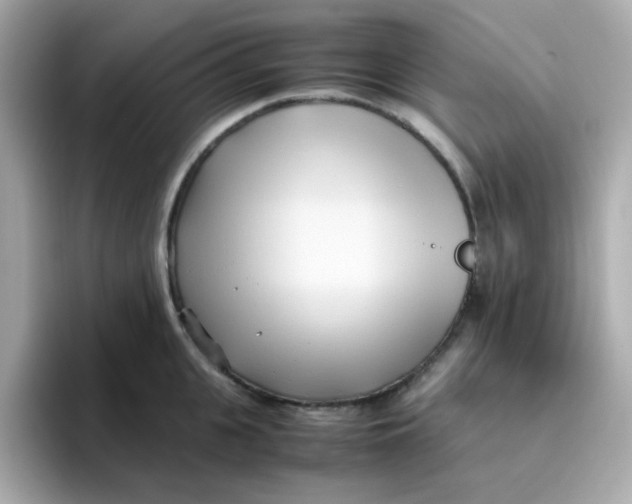X0000096460951200802141529