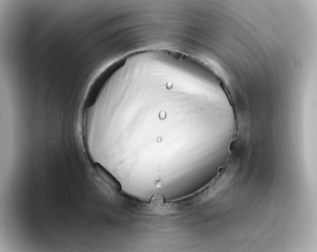 X0000096460952200802141529