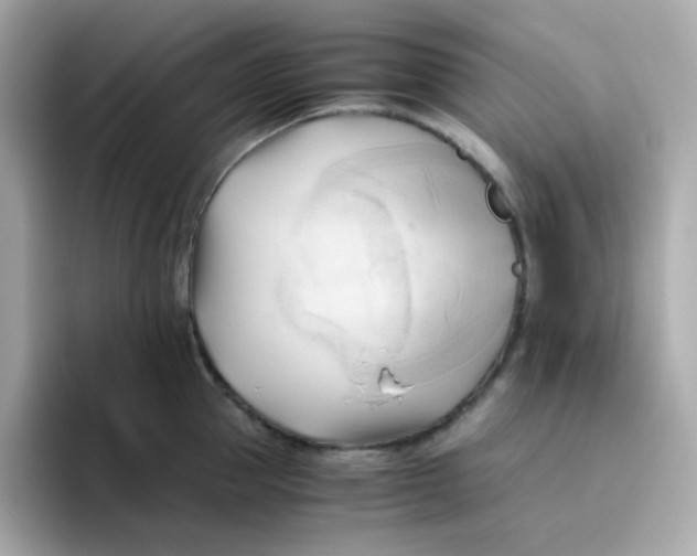 X0000096460953200802141529