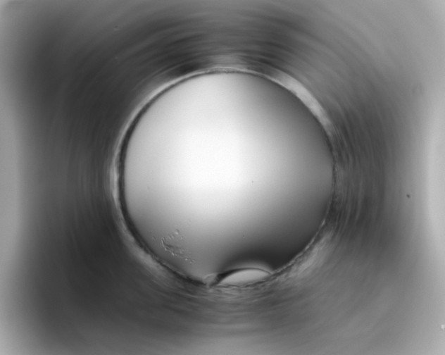 X0000096460955200802141529