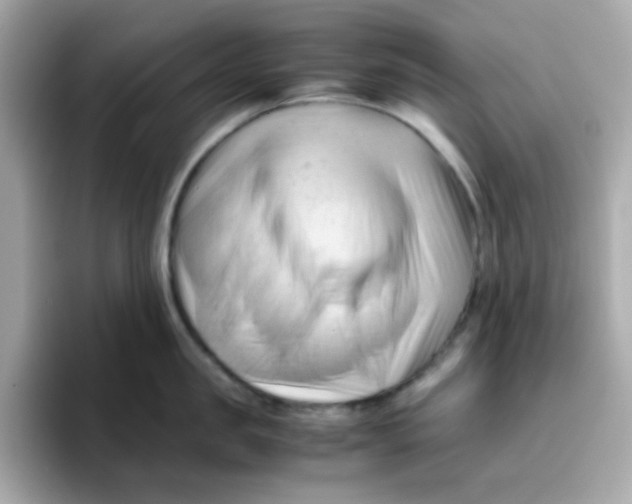 X0000096460957200802141529