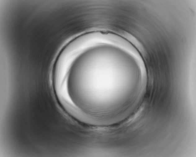 X0000096460958200802141529