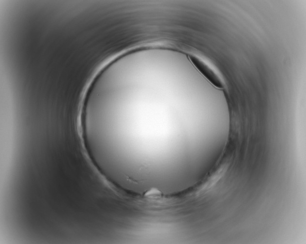 X0000096460959200802141529