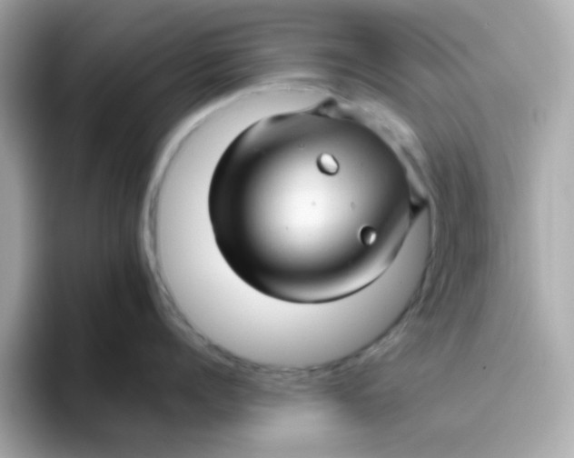 X0000096460960200802141529