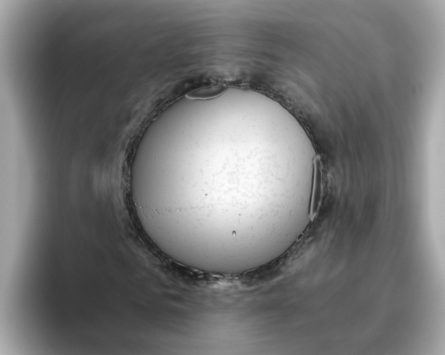 X0000096460961200802141529