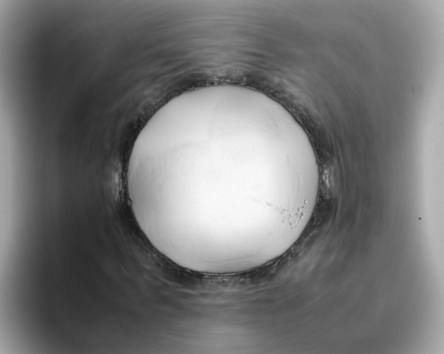 X0000096460963200802141529