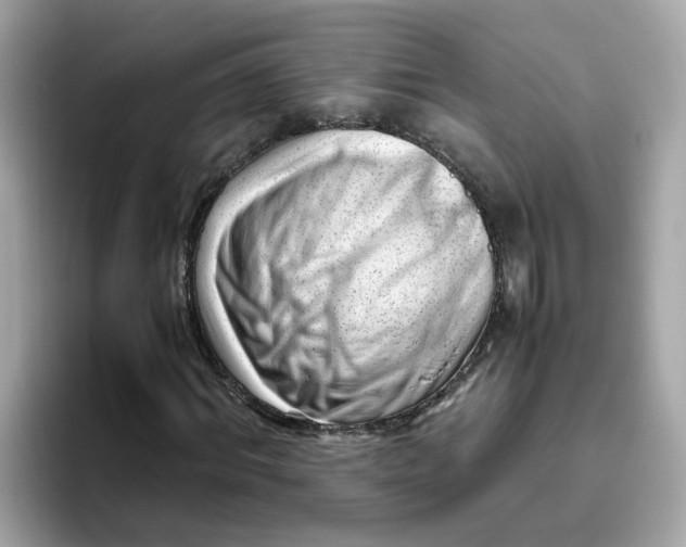 X0000096460964200802141529