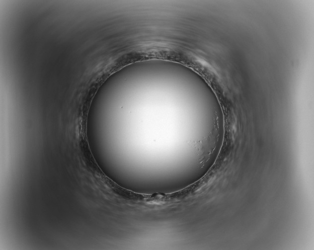 X0000096460965200802141529