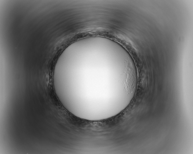 X0000096460966200802141529