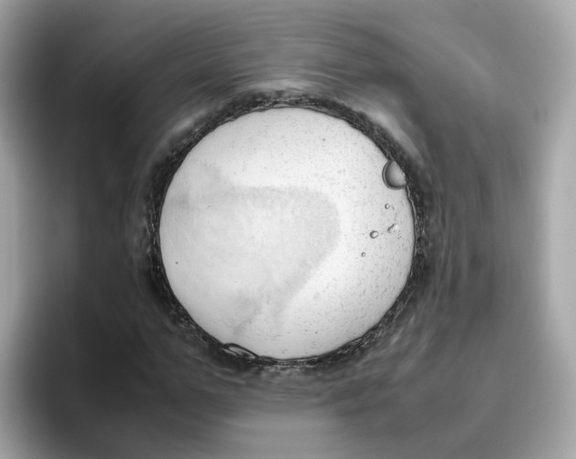 X0000096460967200802141529