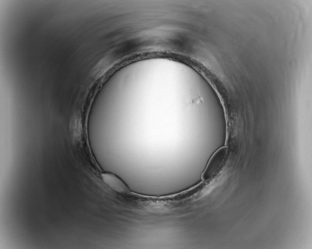 X0000096460969200802141529