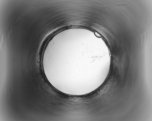 X0000096460971200802141529