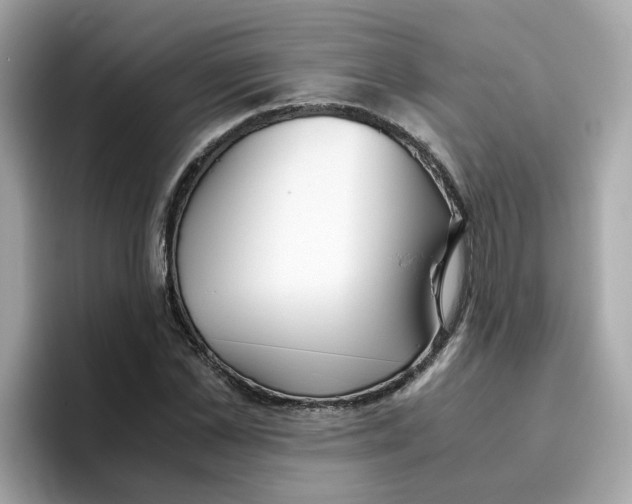 X0000096460973200802141529