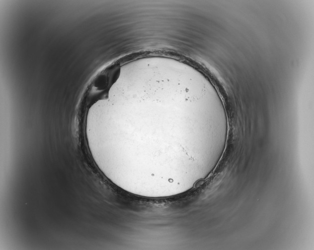 X0000096460975200802141529