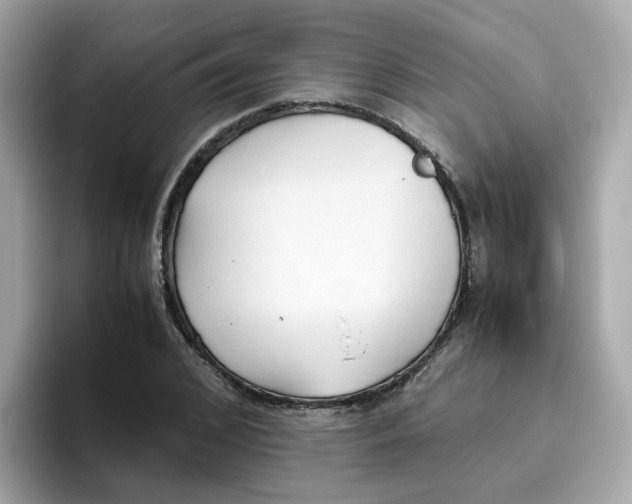 X0000096460976200802141529