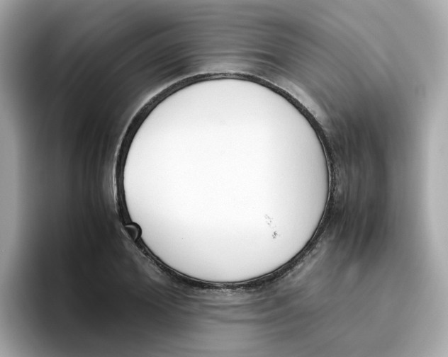 X0000096460980200802141529