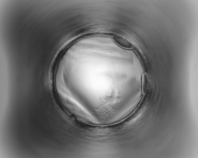 X0000096460981200802141529