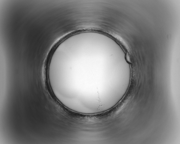 X0000096460983200802141529