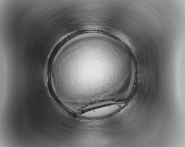 X0000096460984200802141529