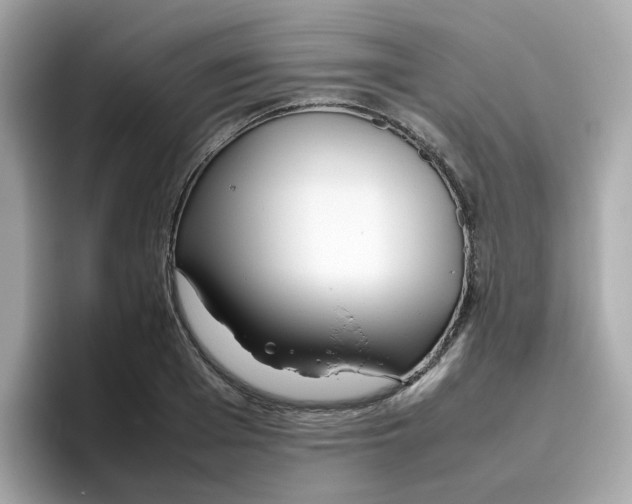X0000096460985200802141529