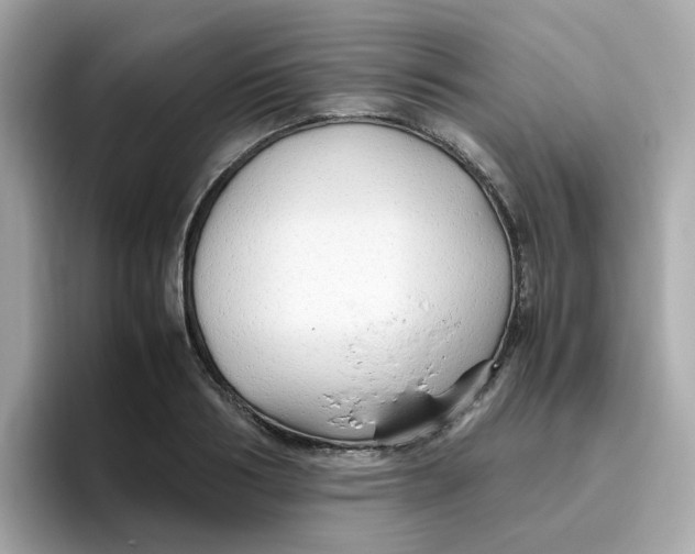 X0000096460986200802141529