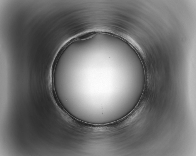 X0000096460988200802141529