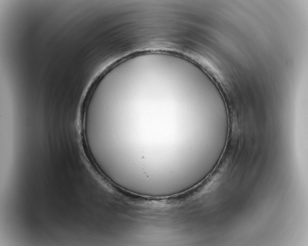 X0000096460990200802141528