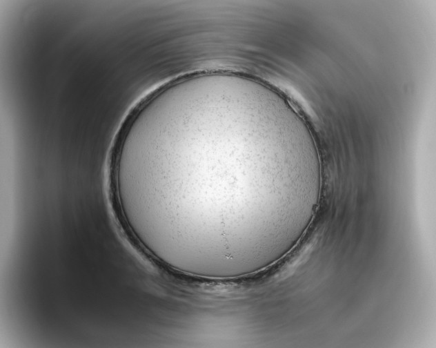 X0000096460991200802141528