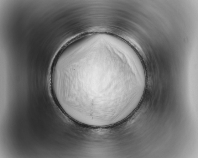 X0000096460992200802141528