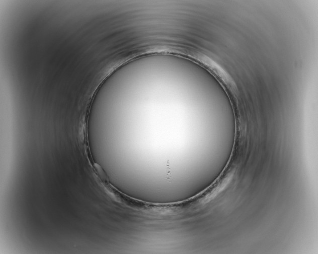 X0000096460993200802141528