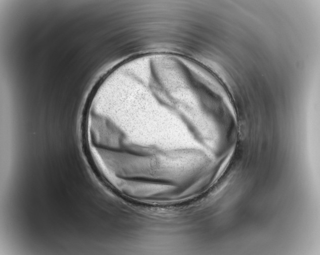 X0000096460995200802141528