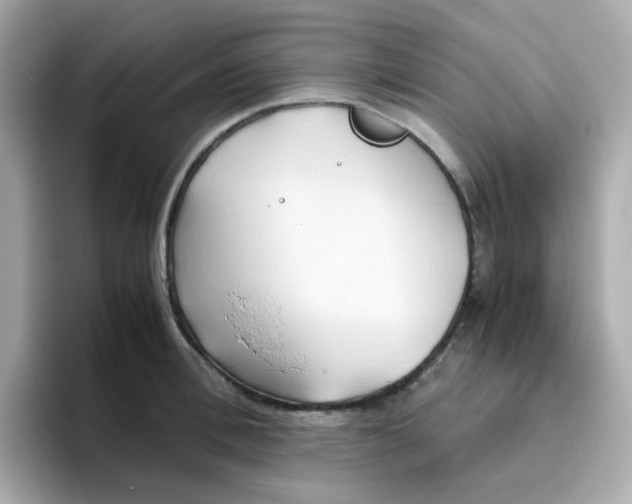 X0000096460996200802141528