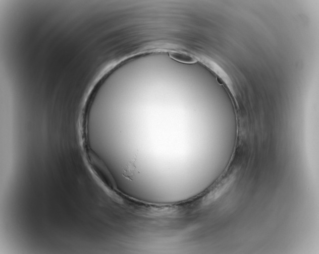 X0000096460997200802141528