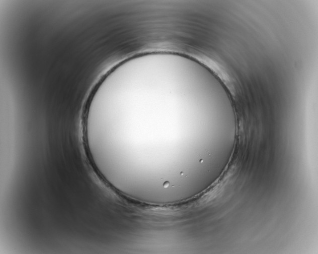 X0000096460998200802141528