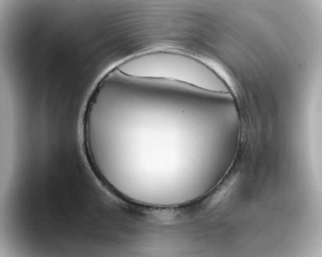 X0000096460999200802141528