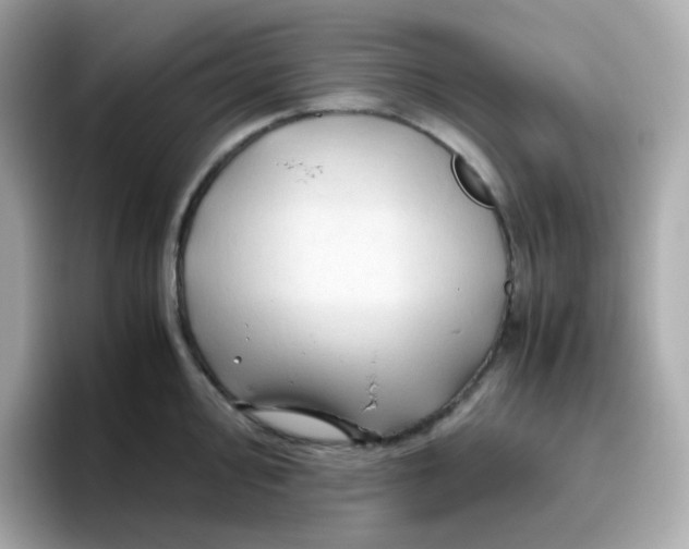 X0000096461000200802141528