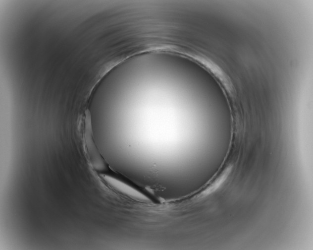X0000096461001200802141528