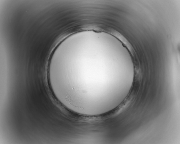 X0000096461002200802141528