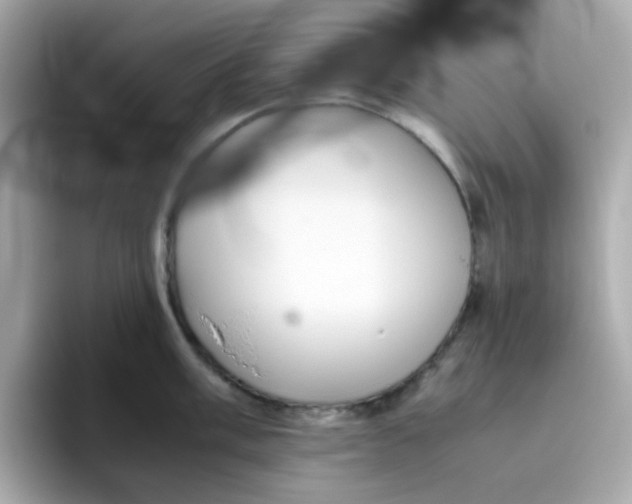 X0000096461003200802141528