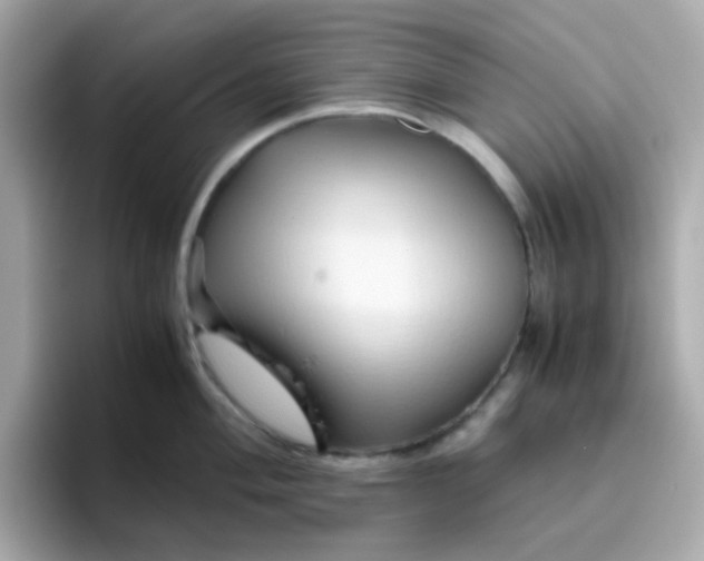 X0000096461004200802141528