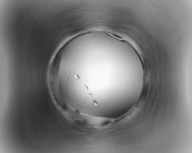 X0000096461005200802141528