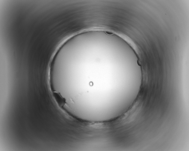 X0000096461006200802141528