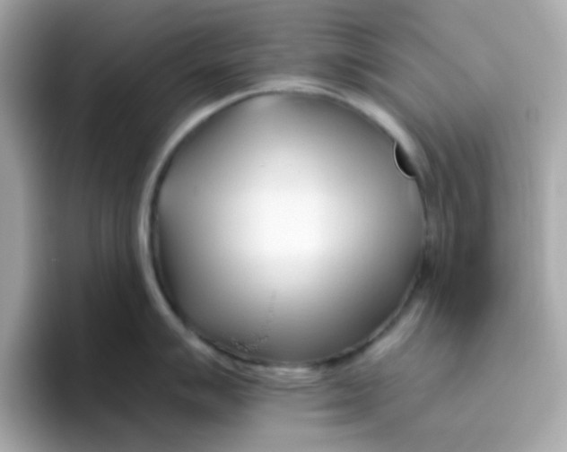 X0000096461007200802141528