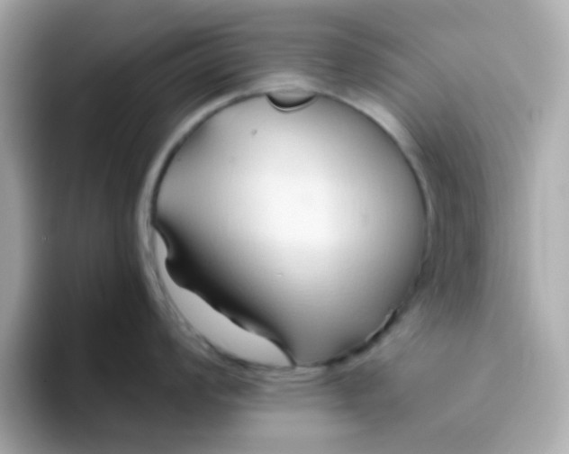 X0000096461008200802141528