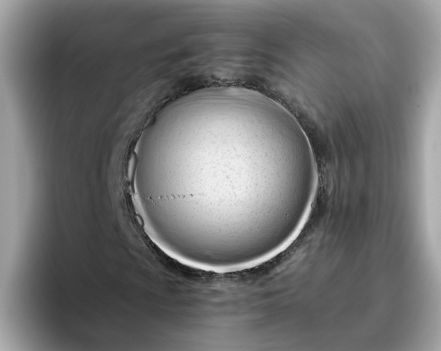 X0000096461009200802141528
