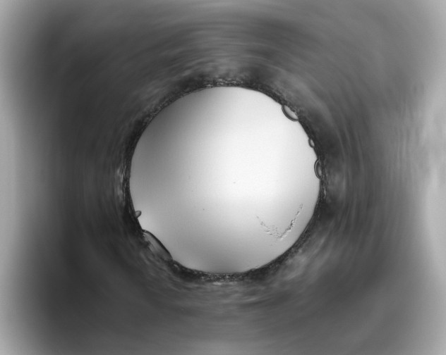 X0000096461010200802141528
