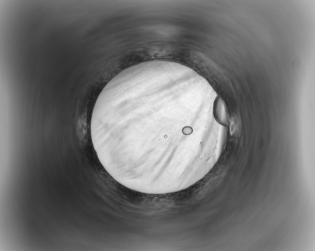 X0000096461011200802141528