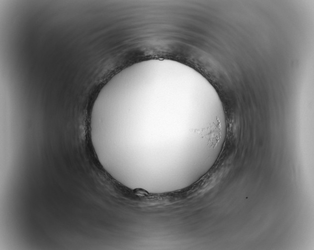 X0000096461012200802141528