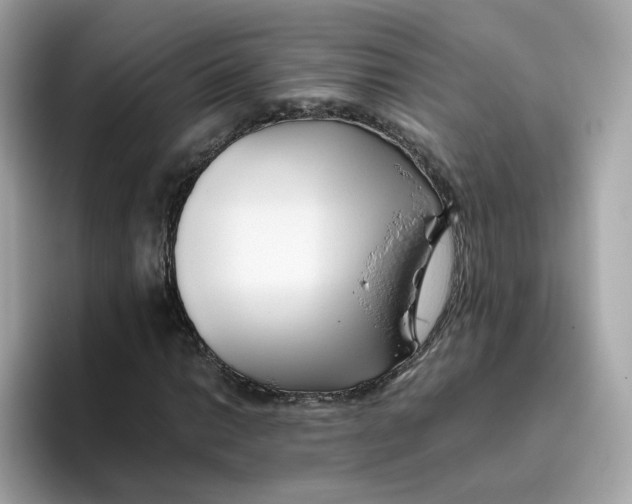 X0000096461014200802141528
